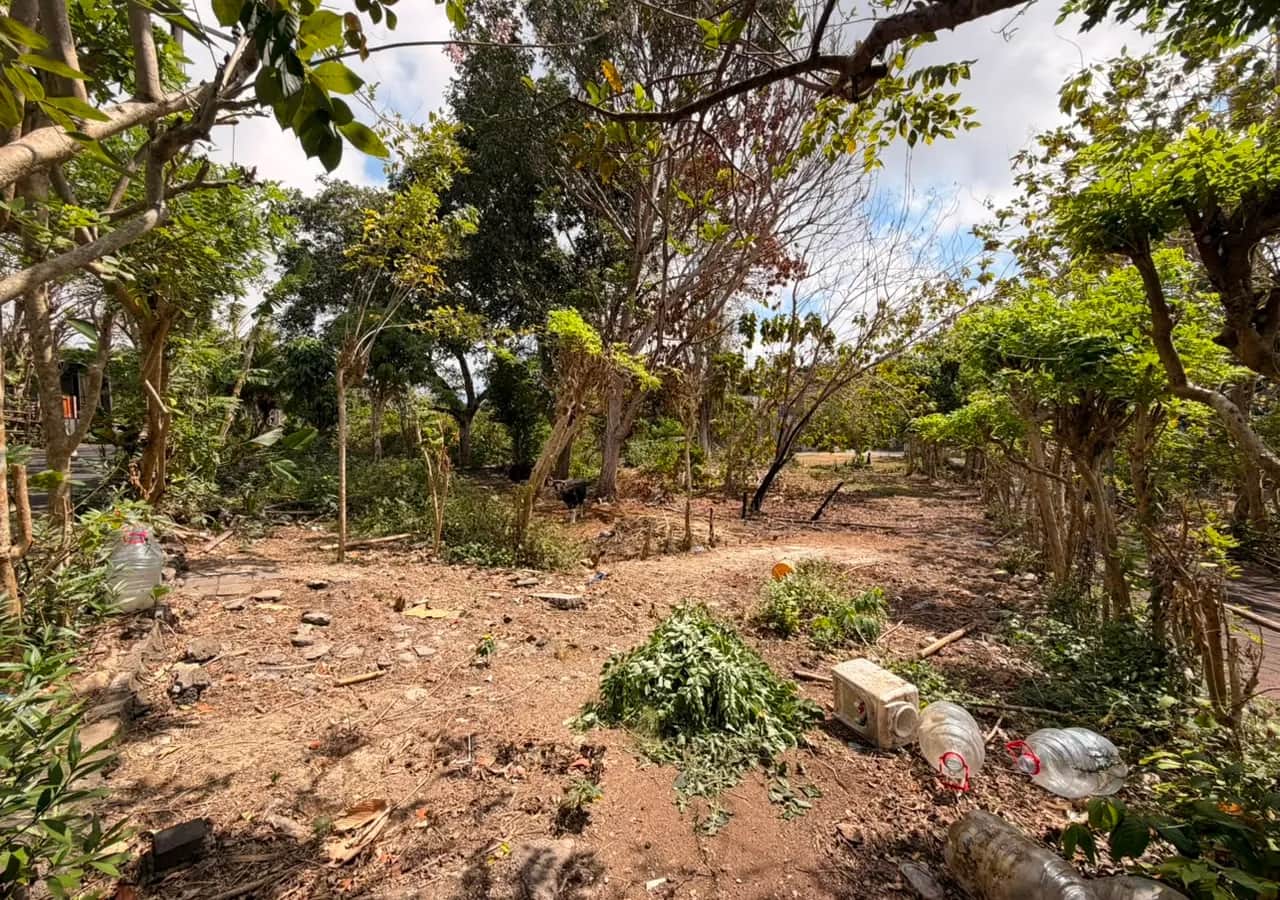 Corner Plot Land for Sale in Pecatu – 10 Are, Leasehold