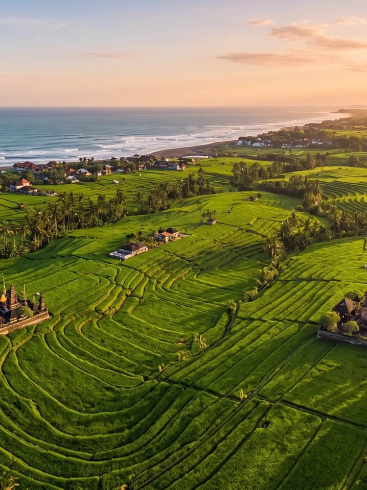 canggu