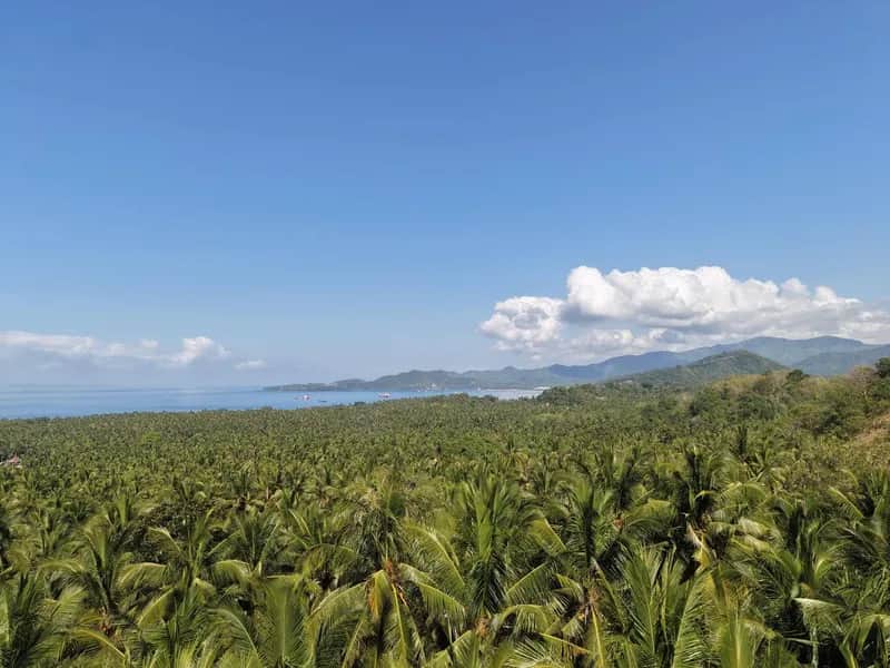 16 Are Freehold Land in Candidasa | ASDA Property