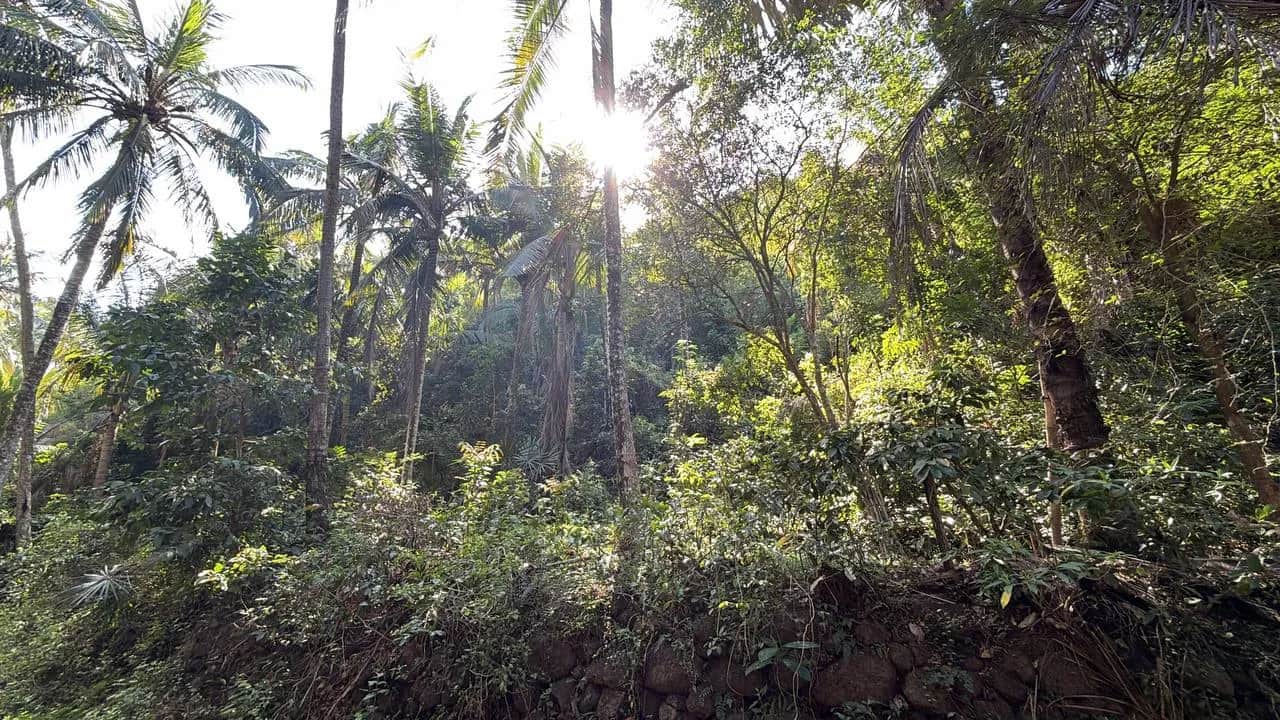 16 Are Freehold Land in Candidasa | ASDA Property