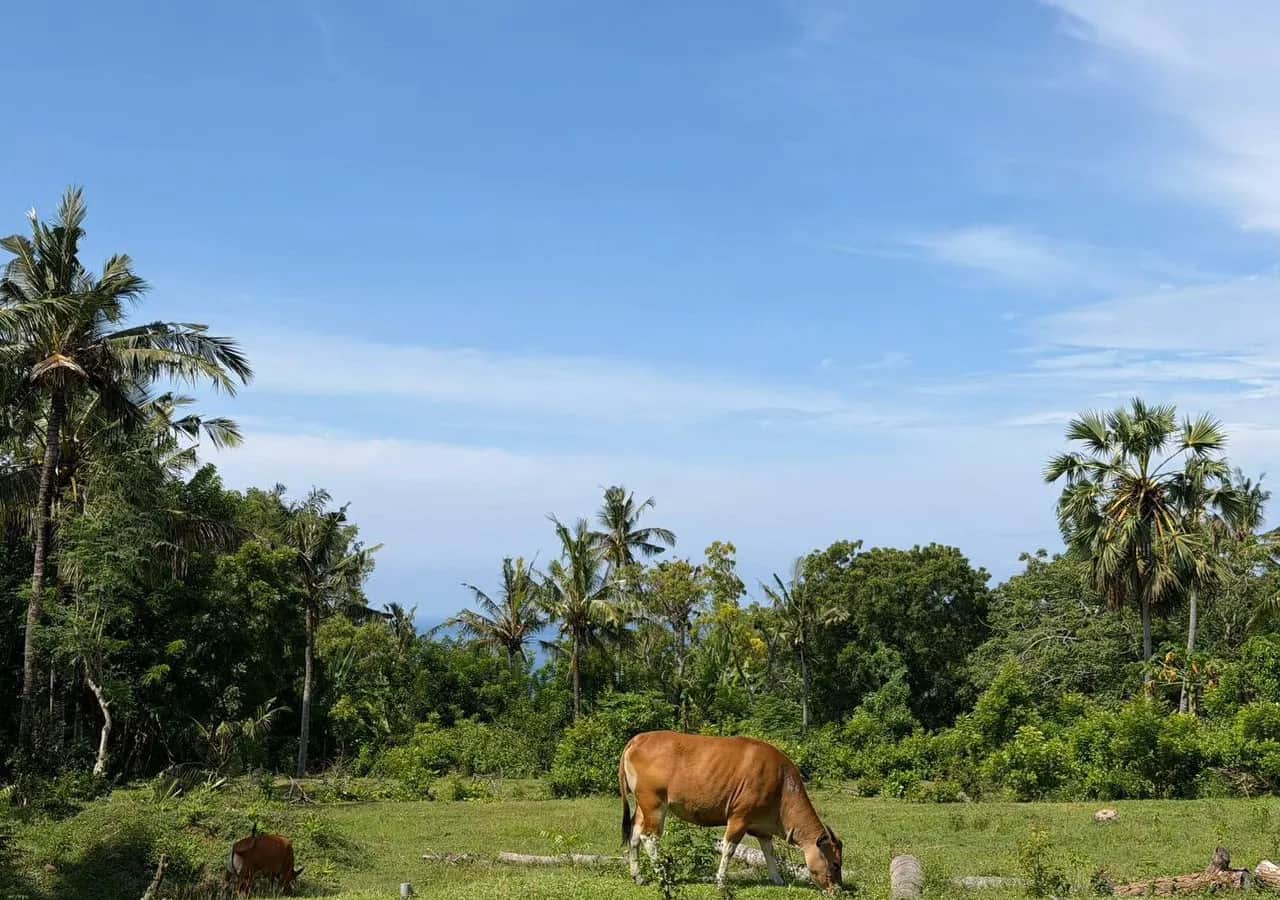 50 Are Cliff-Front Land Virgin Beach | ASDA Property