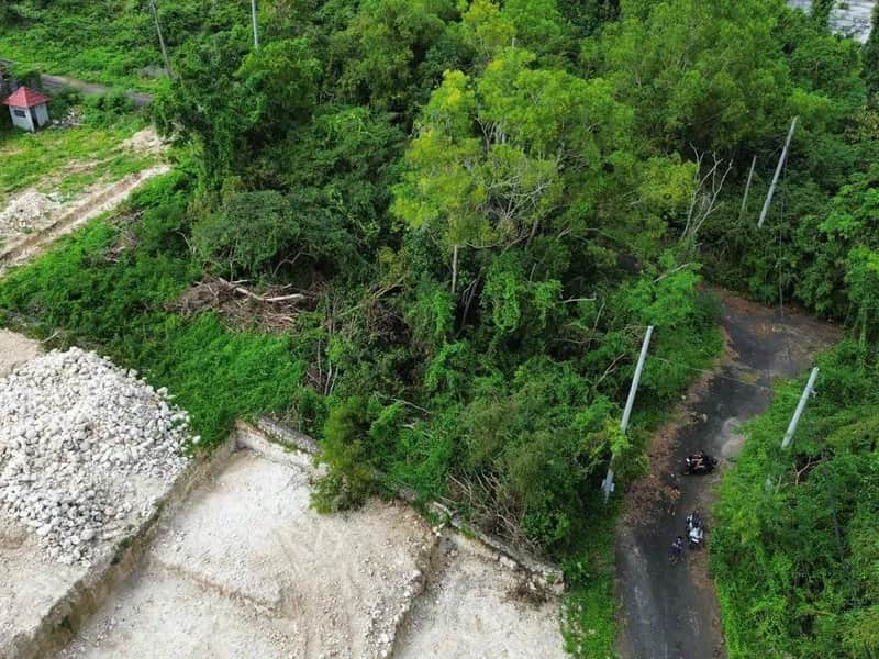 2.3 Are Jungle View Land in Ungasan Near Dreamland