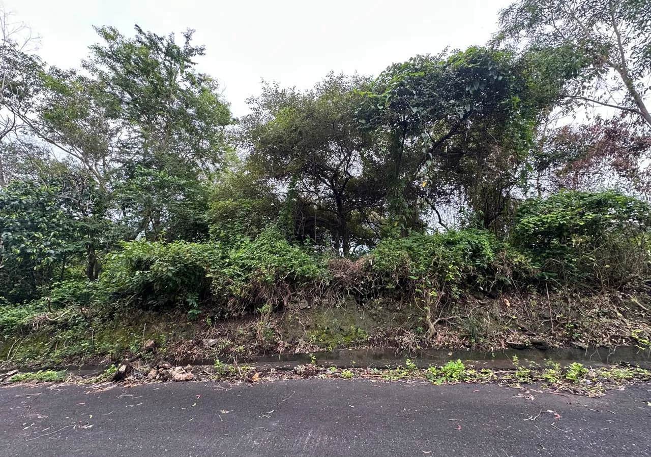 2.3 Are Jungle View Land in Ungasan Near Dreamland