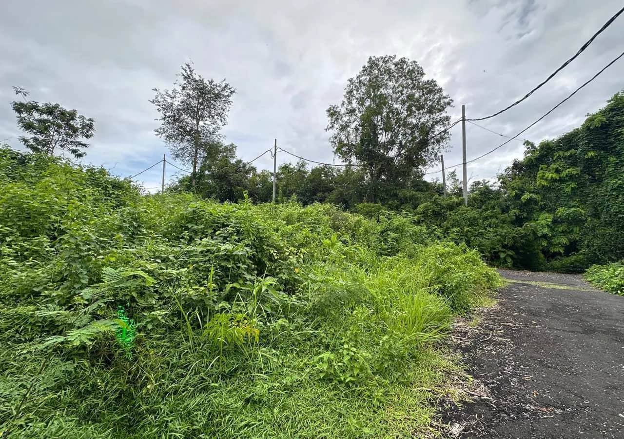 2.3 Are Jungle View Land in Ungasan Near Dreamland