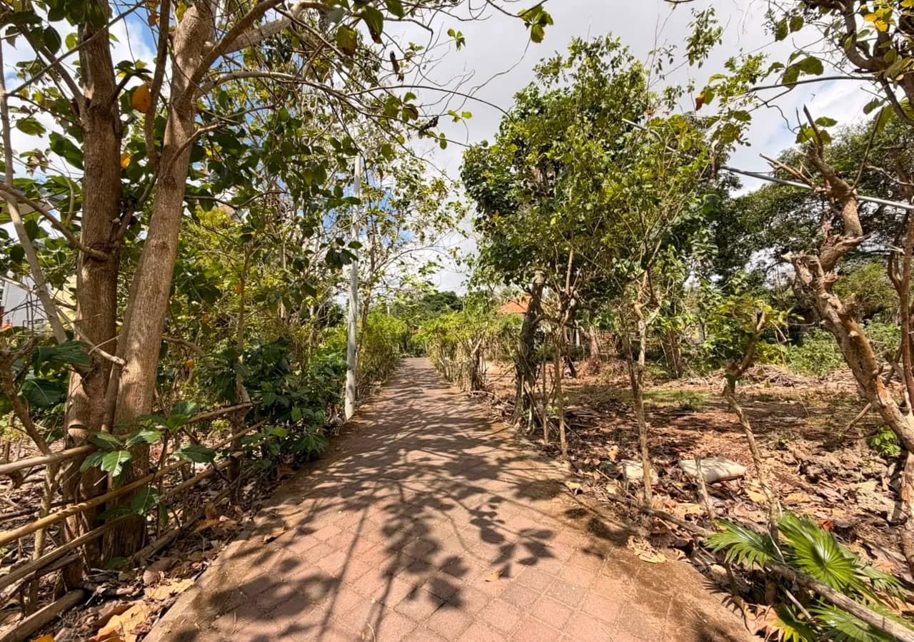 Corner Plot Land for Sale in Pecatu – 10 Are, Leasehold