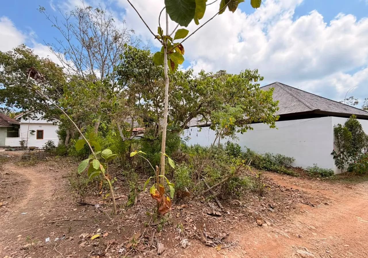 Strategic Leasehold Land in Bingin, Uluwatu | ASDA Property