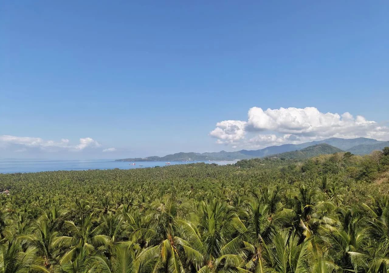 16 Are Freehold Land in Candidasa | ASDA Property