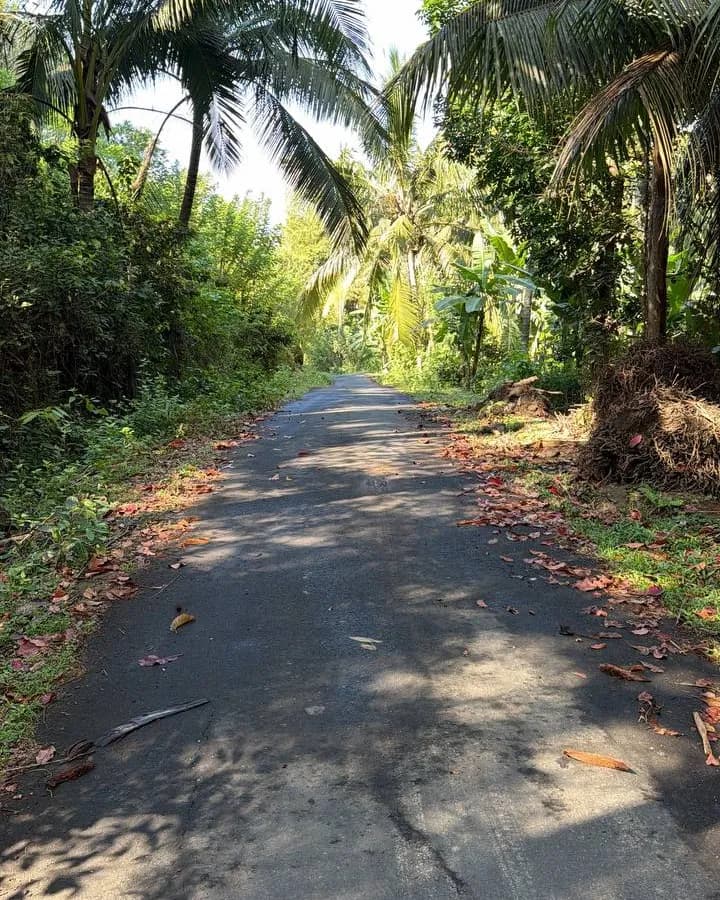 16 Are Freehold Land in Candidasa | ASDA Property