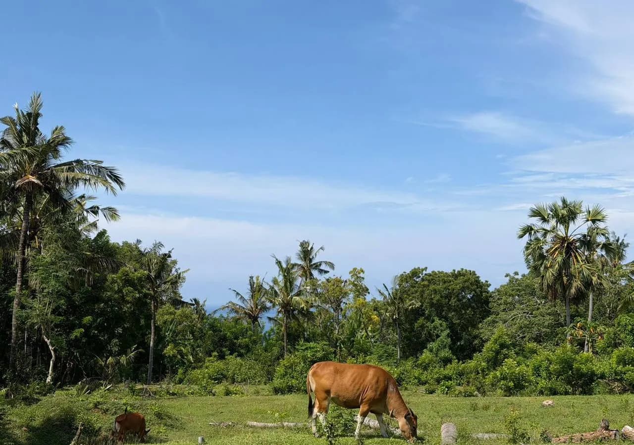 50 Are Cliff-Front Land Virgin Beach | ASDA Property
