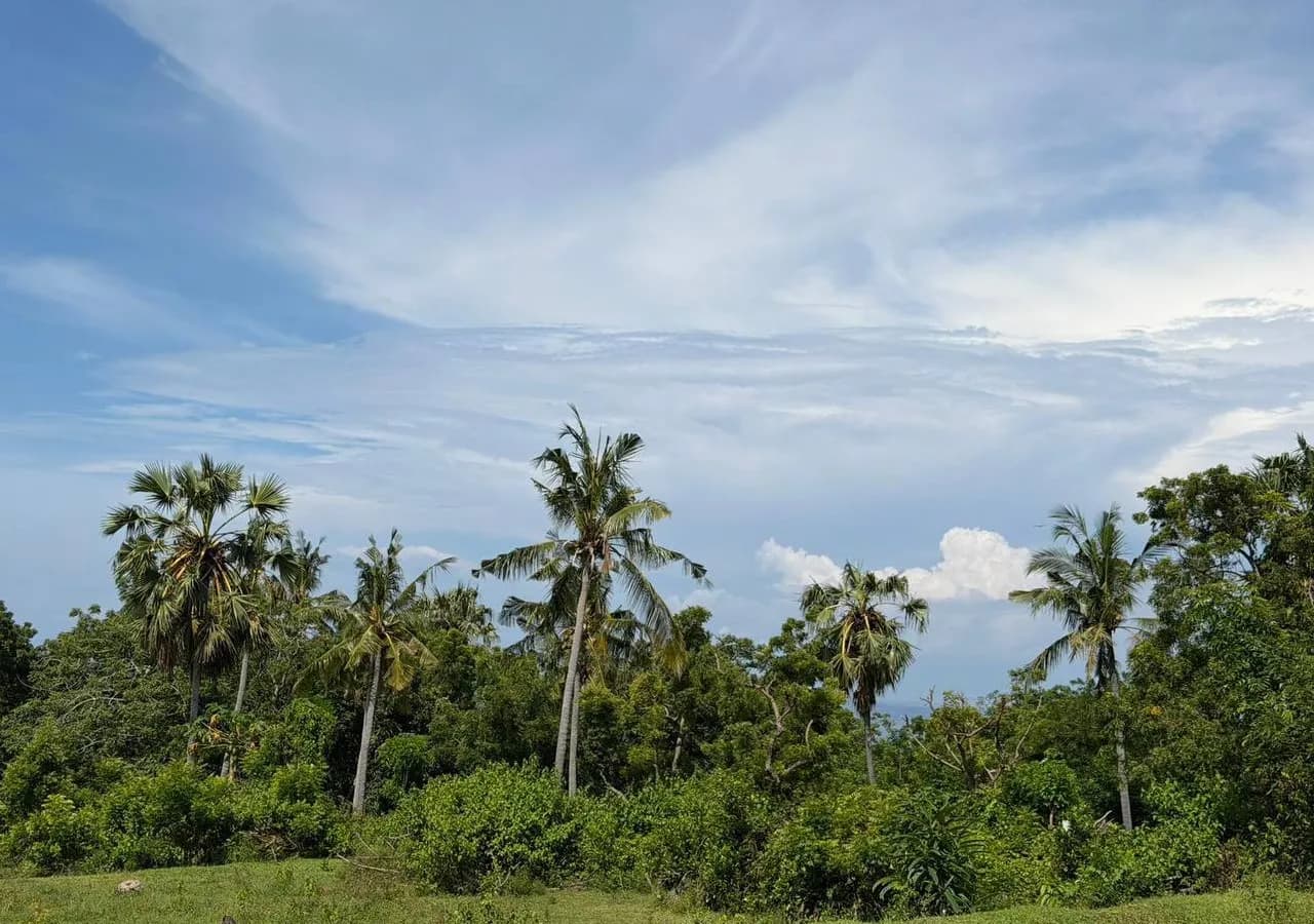50 Are Cliff-Front Land Virgin Beach | ASDA Property