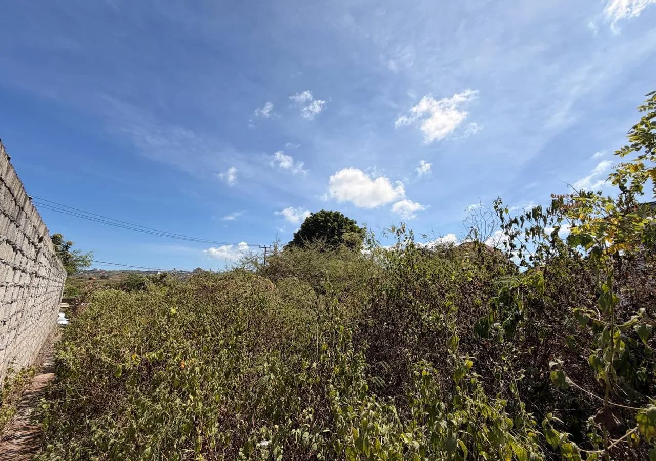 land