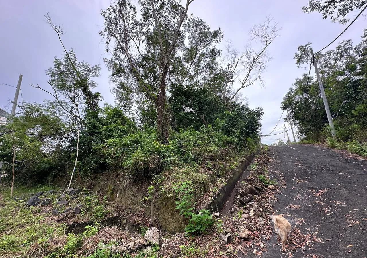2.3 Are Jungle View Land in Ungasan Near Dreamland