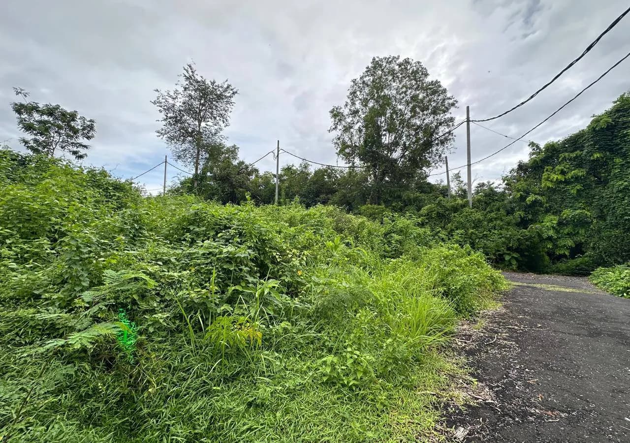 2.3 Are Jungle View Land in Ungasan Near Dreamland